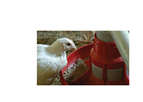 Hired-Hand - Feeder