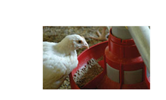 Hired-Hand - Feeder
