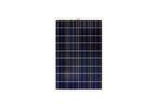 Model 36-cells 10 Wp - Polycrystalline Solar PV Module