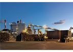 High-Efficiency Biomass Power Plant with CO2 Reduction