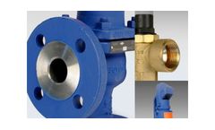Schwietzke - Safety Valves