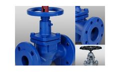 Schwietzke - Globe Valves