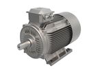 Model Standard - Low Voltage  Three-Phase Asynchronous Electric Motors