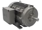 High Voltage Three-Phase Asynchronous Electric Motors