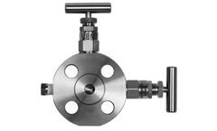 Christian Bollin - Monoflanges Valve