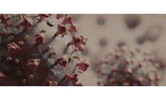 Peraspray - Antibacterial & Antiviral One-Step Sanitizer