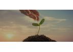 Peragreen - 5.6% Peracetic Acid (PAA) Based Microbiocide