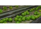 EnviroTech BioSide - Model HS 15% - Versatile Peracetic Acid (PAA) Based Microbiocide