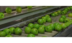 EnviroTech BioSide - Model HS 15% - Versatile Peracetic Acid (PAA) Based Microbiocide