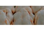 EnviroTech Perasan - Model MP-2 - FDA-Approved Food Grade Microbiocide