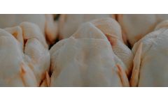 EnviroTech Perasan - Model MP-2 - FDA-Approved Food Grade Microbiocide