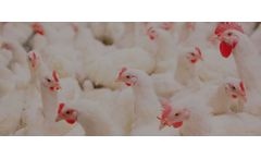 EnviroTech Perasan - Model A - Peracetic Acid (PAA) Antimicrobial Formulation