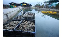 Pumping solutions for aquaculture industry