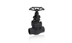 Robmet - Model Class 800 - Socket Welded Globe Valve