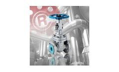 Robmet - Model Class 150 - Gate Valve With Rising Stem Class 150