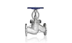 Robmet - Model PN 40 - Stainless Steel Globe Valve