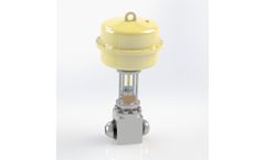 Jaspar - Control Valve with Profiled Check Valve