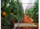 Boyce - Grow Bags for Bell Pepper Cultivation