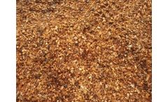 Boyce - Coconut Husk Chips in Horticulture