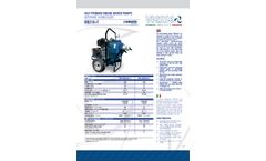 Viesse - Model RB216+T - Self Priming Engine Driven Pump- Brochure