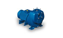 Viesse - Model RB220 - Self Priming Centrifugal Electric Pumps