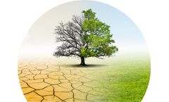 Physical Climate Risk Metrics
