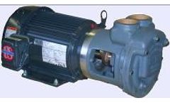 Lobee - Self Priming Liquid Ring Pumps