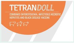 Tetrandoll - Combined Enterotoxemia Infectious Necrotic Hepatitis and Blackleg Disease Vaccine