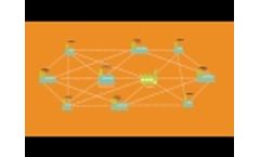 Speed Up Quality and Compliance with a Quality Business Network Video