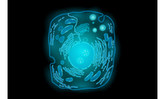 Gatta - High-Quality Standard Cell Slides