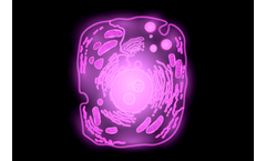 Gatta - NIR Cell