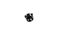 SkyScan - Wall Mounting Bracket for Storm Pro 2