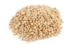 MAFI - Sorghum