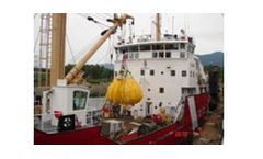 Canflex - Model LH - Low Headroom Crane Test Water Bags