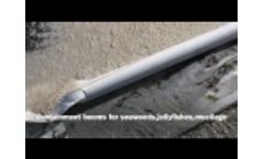 Barriera antialghe anti meduse Oil boom for jellyfishes and seaweeds - Video
