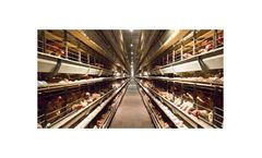 Gures - Model T-750 - Enrichable Layer Cage