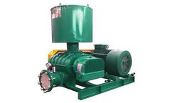 Huadong - Model HDSR 50 to 350 - Lobe Roots Blower