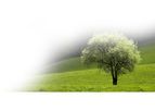 Resource Management