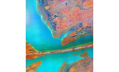 Multiprobes for Harmful Algal Bloom