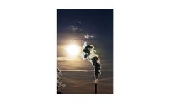 AB 32 GHG Reporting Services