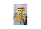 Greenhouse Gas Reporting Services