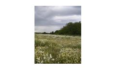 Ecological Surveying & Enhancement Services