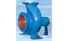 Insheng - Model Type SD & SA - Standardized Metallic Pump