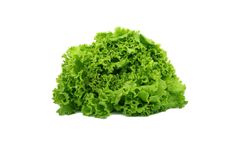 Chlorophyll Increase Activator for Crop Nutrition