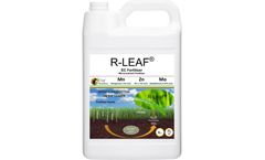Model R-Leaf - Disruptive Technology