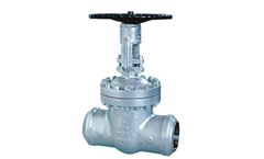 Boteli - Model API 600 - Gate Valve