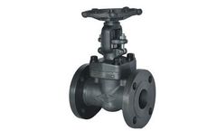 Boteli - Model API 602 - Gate Valve