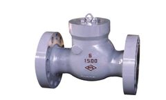 Boteli - Model API 6D/BS 1868 - Swing Check Valve