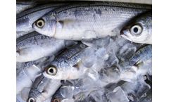 Wastewater treatment plants for the fish industry