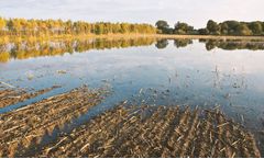 Wastewater treatment plants for landfill soakage water